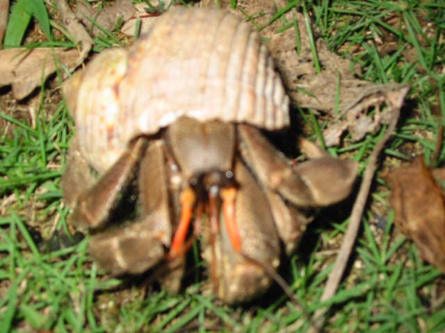 inoda2 003